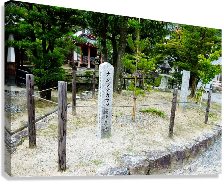 Japan-AB - Special Sign on the way Canvas Print
