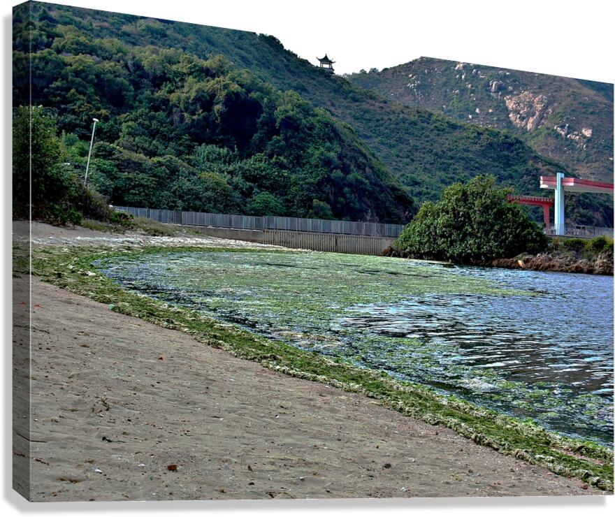 HK-FV-The Seaweed along the seaside at Cheung Chau 02 Canvas Print