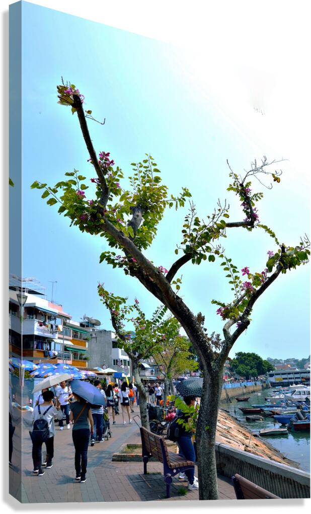 HK-VL - The Village and Landscape Canvas Print