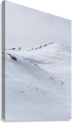 Ascent Canvas Print