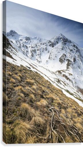 Transition Canvas Print