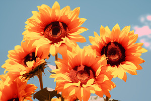 Golden Giants - Sunflower Portrait Art Prints