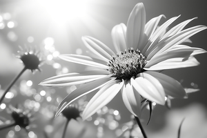 Whispers of the Sun – Minimal Daisy Art Print