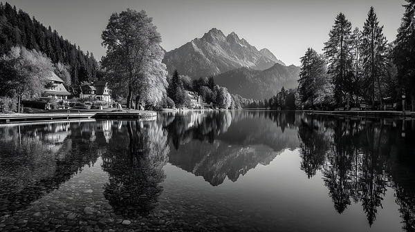 Reflected Dreams - Monochrome Landscape Art Prints by Savage Art Prints
