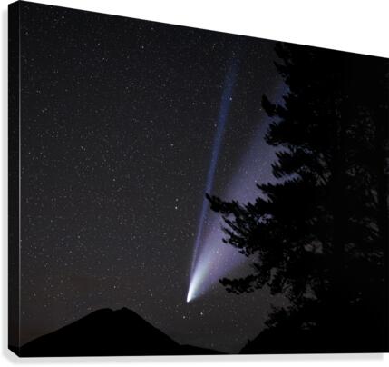 Neowise  Canvas Print