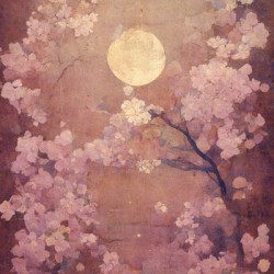 Sakura Moon - II
