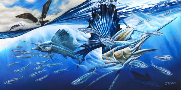  Atlantic Harmony Sailfish 2 by D Friel 