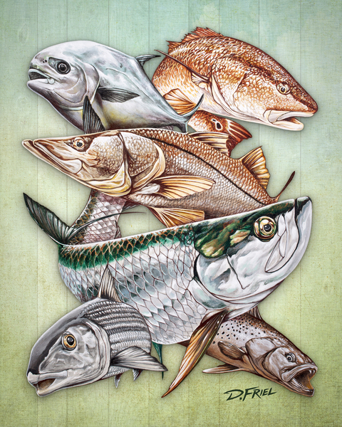 Islamorada Super Slam by D Friel 