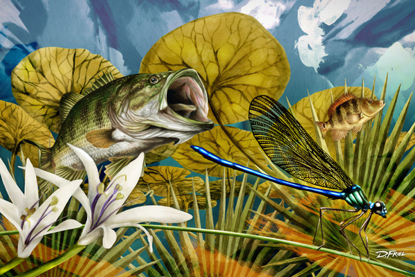 Palm Aire Dragonfly Bass by D Friel 