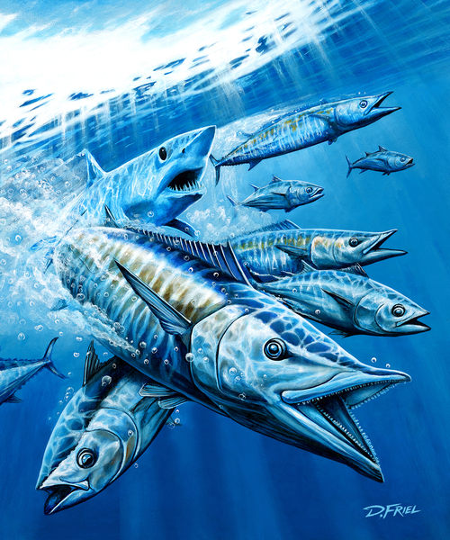 Salt Weapons by D Friel 