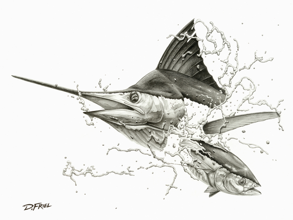  Southern Cross by D Friel 