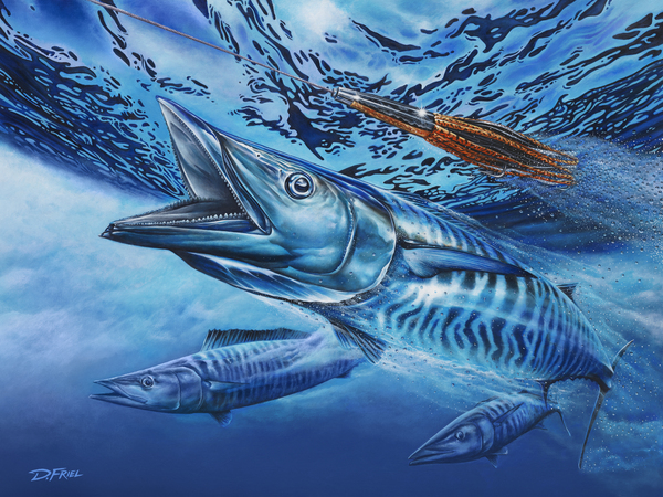 Terminal Velocity by D Friel 