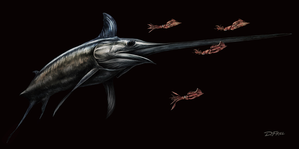 Black Cove Gladiator by D Friel 