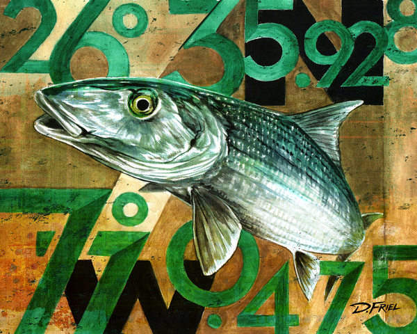 DFriel - Bonefish Coordinates by D Friel 