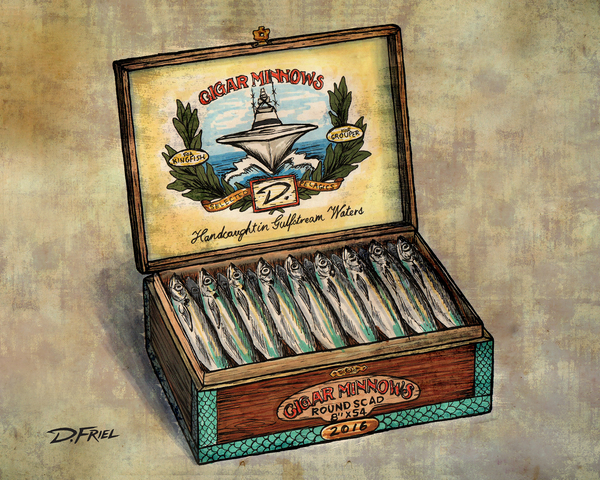 Cigar Minnows by D Friel 