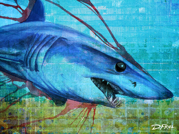 Converge Mako by D Friel 