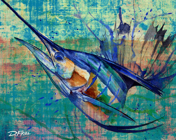 Converge Sailfish  by D Friel 