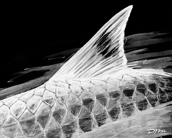 Converge Tarpon No3  by D Friel 