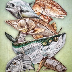 Islamorada Super Slam