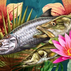 Palm Aire Snook   Tarpon