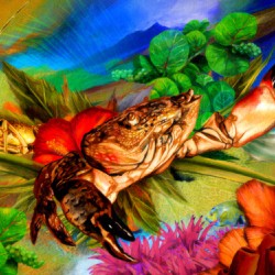 Sea Garden Crustaceans