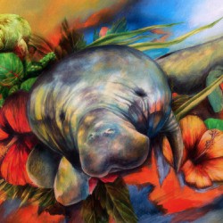 Sea Garden Manatee