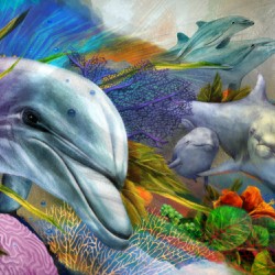 Sea Garden Porpoise