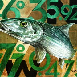 DFriel - Bonefish Coordinates