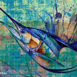 Converge Sailfish 