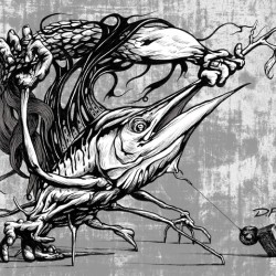 DFriel Dali Sailfish 