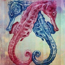 Ocean Lover Seahorse