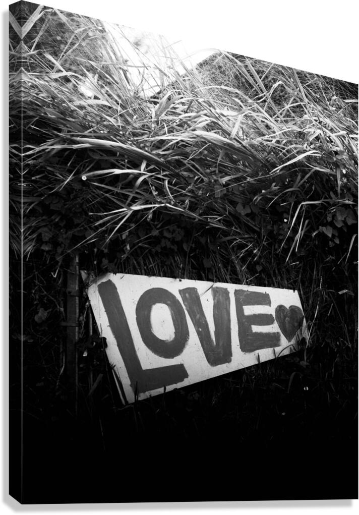 Love Canvas Print