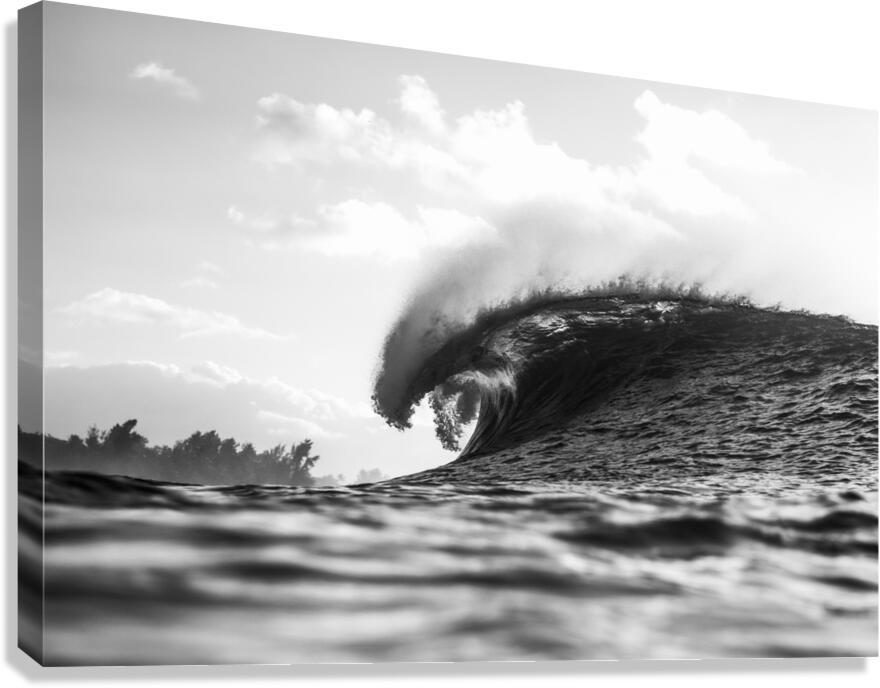 Teeth Canvas Print