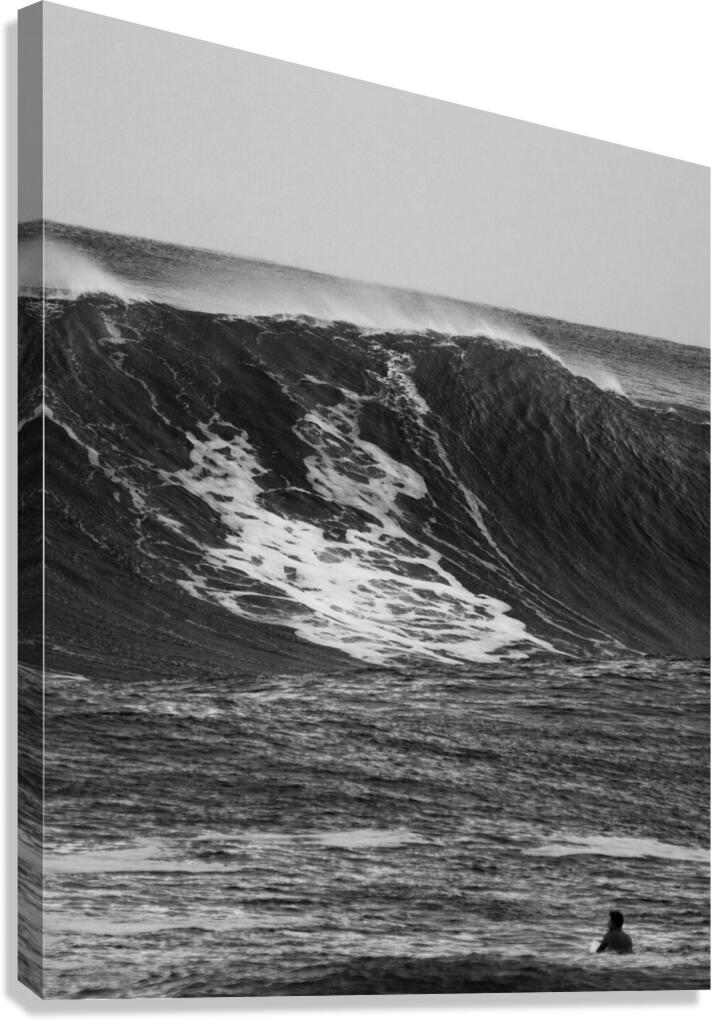 Out_the_back Canvas Print