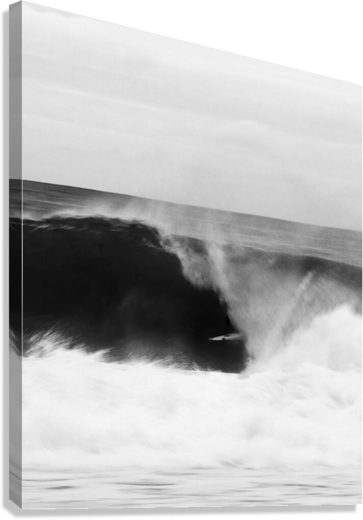 Jack_Robbo Canvas Print