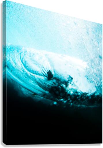 Hand_drag Canvas Print
