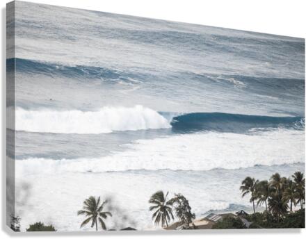 Up_Pupukea Canvas Print