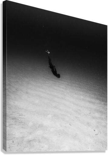 All_Alone Canvas Print