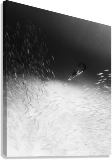Deep_Down Canvas Print