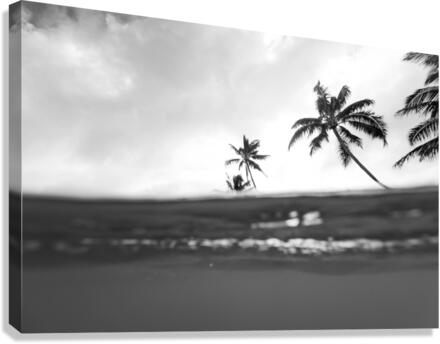 Half_full Canvas Print