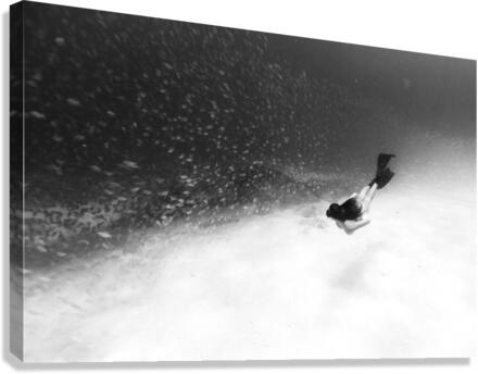 Kahea Canvas Print