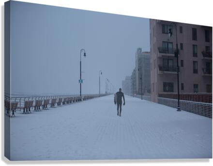 Snow_Day Canvas Print