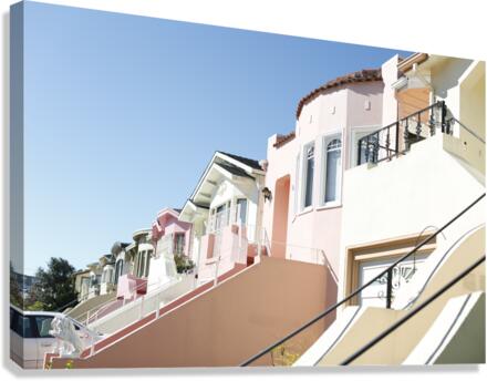 Full_House Canvas Print