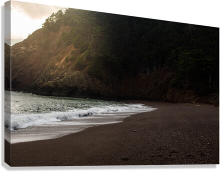 Black_Sand_Beach Canvas Print