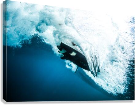 Fin_Box Canvas Print