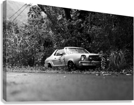 Overgrown Canvas Print