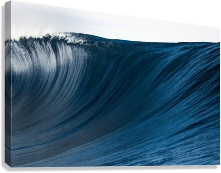 Ribs Canvas Print