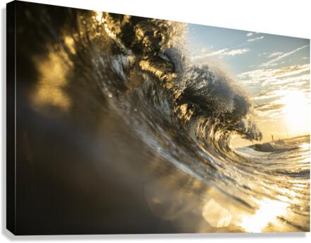 Golden_evening Canvas Print