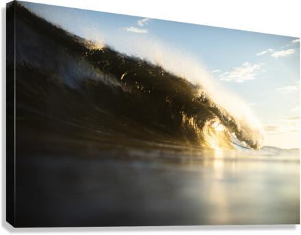 Li_Gold Canvas Print
