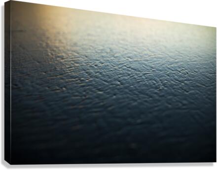 AP4A0702 Canvas Print